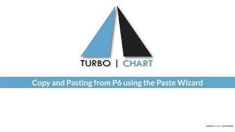 P6 Copy and Paste Wizard