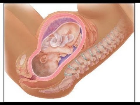 متى يدخل رأس الطفل الحوض متى ينزل الجنين في الحوض في اي اسبوع او