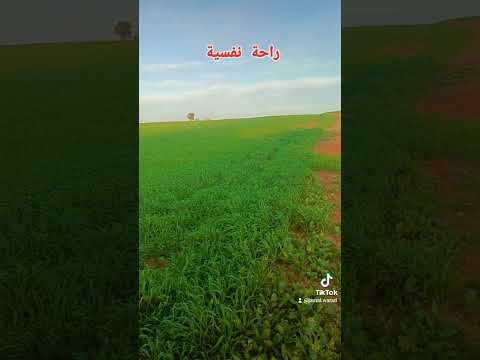 منطقة أولاد عبو برشيد إقليم سطات