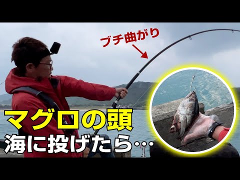 打ち込み釣りで夢のロウニンアジが釣りたくて与那国島まで行ってきた4泊5日【与那国島遠征2023年2月】撮影協力：花城周作さん