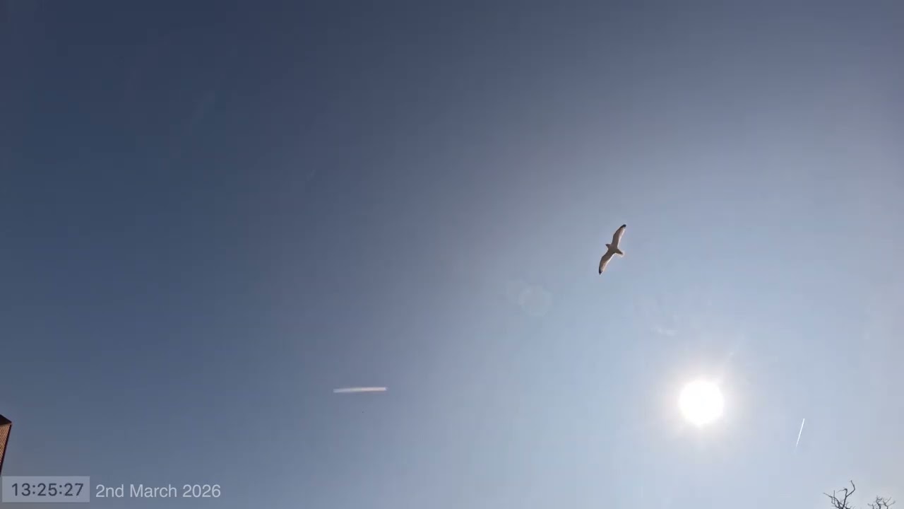 Daytime Sky Time Lapse 4th March 2026