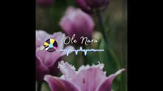 JOGET OLE NARA (Remix) TERBARU #dj