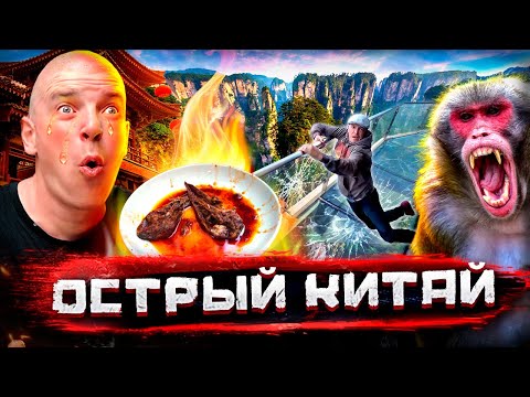 видео: Острый Китай. Правда о китайской глубинке. Горы Аватара и жгучая еда @staspognali