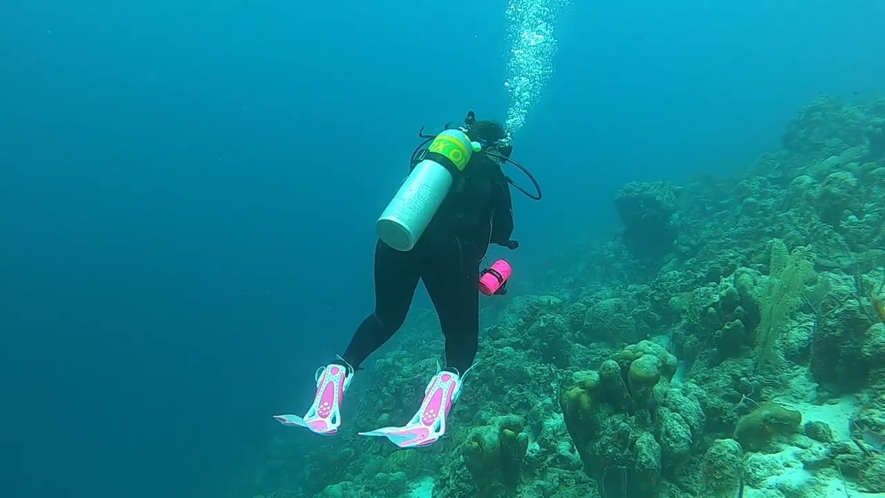 Buddy Dive Reef Drive in Bonaire