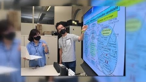 ETRI, 마이크로그리드 핵심기술 국제표준 2건 개발 / YTN 사이언스