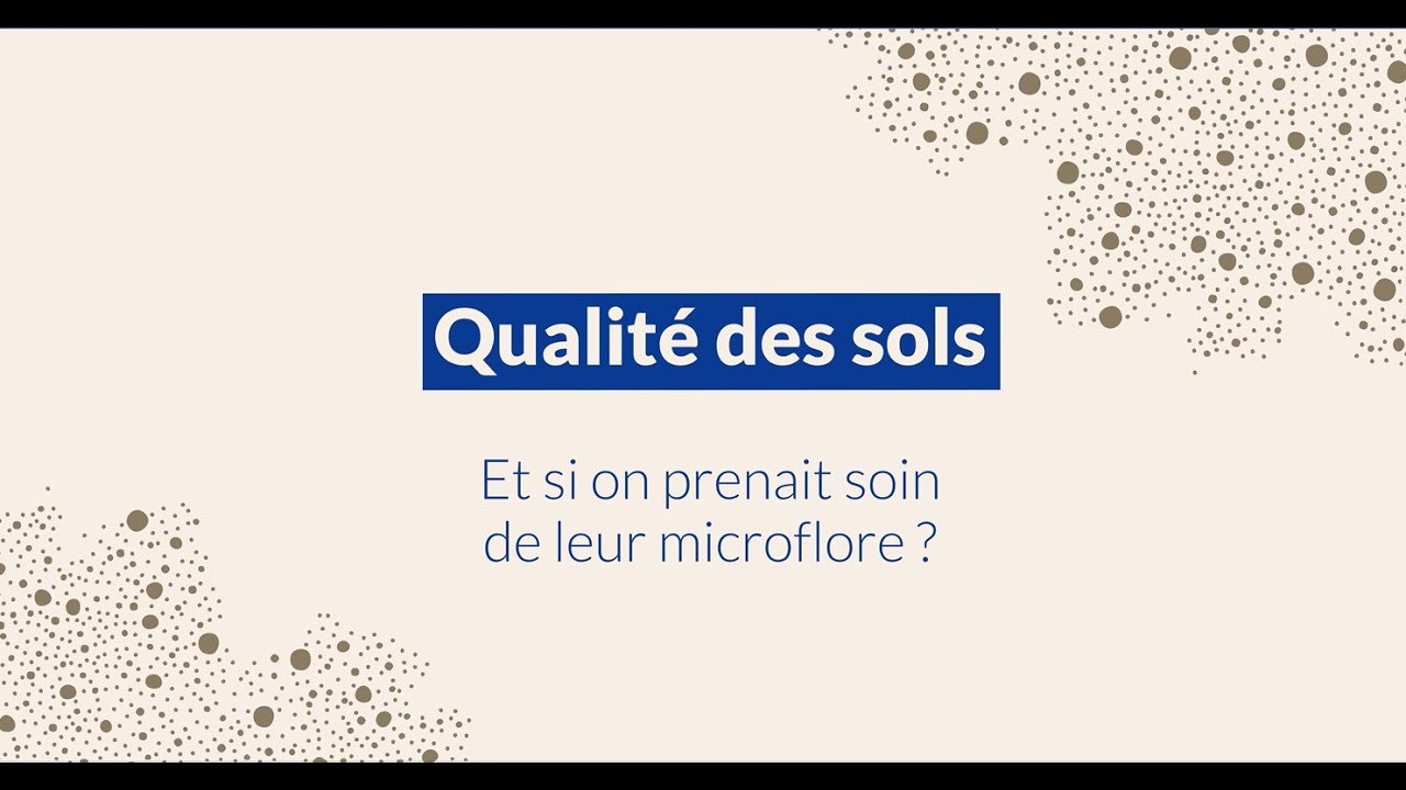 Le microbiote du sol au cœur de l’agriculture de demain