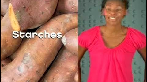 Standard Deviants Teaching Systems  Nutrition  Module 01  Cells and Macronutrients