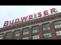 Inside budweisers largest brewery