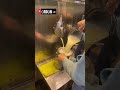 Taze Г Ekilen Еџeker KamД ЕџД Suyu Food Travel Gezgin Taze Г Ekilen Еџeker KamД ЕџД Suyu Food Travel Gezgin