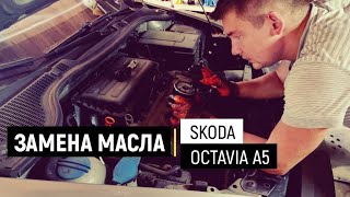 oil change with your own hands Skoda Octavia - Замена масла Skoda Octavia A5