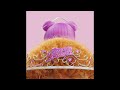 Ice Spice & Nicki Minaj - Princess Diana (AUDIO)
