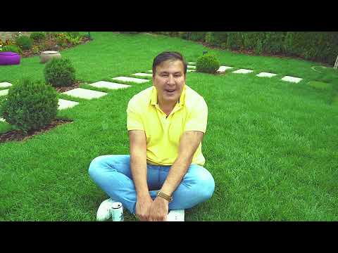 „ბეზპრედელშიკების“ გაბატონებაა საქართველოში, საქვეყნოდ მოგვჭრა ივანიშვილმა თავი. ვიქნები წინა ხაზზე“