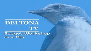 Budget Workshop - 04 - 06/17/2021