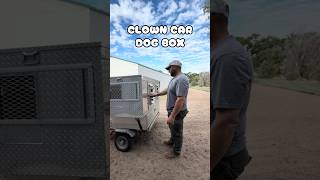 How many bird dogs can fit in a 2-hole dog box? Apparently more than you’d think. 🤣