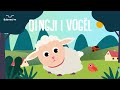 Qingji I Vogël Të Gjitha Këngët Për Bebe Dhe Fëmijë Parashkollorë Bubrreci TV Kengeperfemije Qingji I Vogël Të Gjitha Këngët Për Bebe Dhe Fëmijë Parashkollorë Bubrreci TV Kengeperfemije