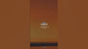 فَإِذَا جَاۤءَتِ ٱلصَّاۤخَّةُ | عبدالباسط عبدالصمد | تلاوة خیالیة خاشعة من سورة عبس