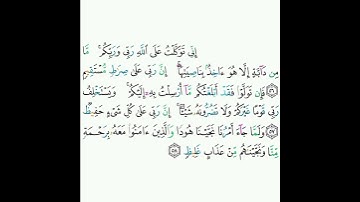 11 - سورة هود ٥٦-٥٨ - ماهر المعيقلي