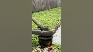 INSANE Weed Whacking Skills | Patio Detail & Edge | EPIC Close-Up  #mowing #timelapse #satisfying