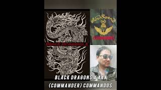Black Dragons X Airborne Commando
