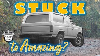 1984 Ford Bronco  STUCK Engine to Dirt ROADWORTHY? Abandoned 4x4 Revival  First Start & Drive?