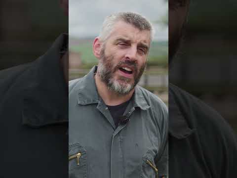 How sheep farmers