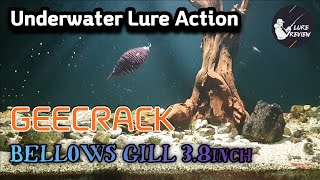 BassFishing [Geecrack] 1. Bellows Gill 3.8inch - Underwater Lure Action