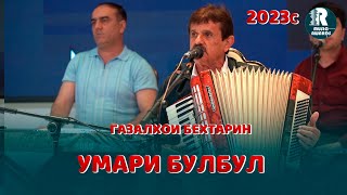 картинка: Умари Булбул Газал 4 2023с Umari Bul-Bul 2023с
