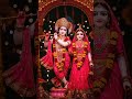 Mera shyam aa jata mere samne #radhakrishna #shyam #khatushyam #shyambaba #ytshorts #shyambababhjan