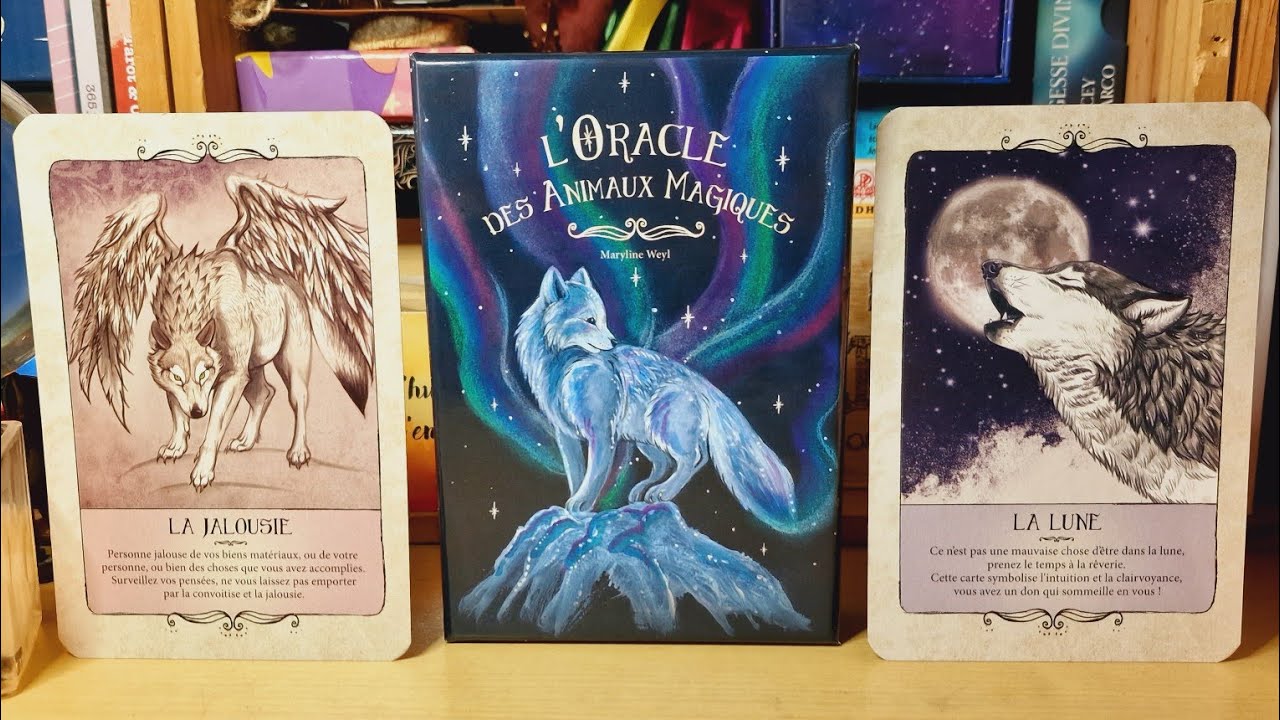 Cartes Oracle Du Langage Secret Des Animaux – 46 Cartes – Avec Sac Velours – Guide PDF – Tarot Développement Personnel – Anglais