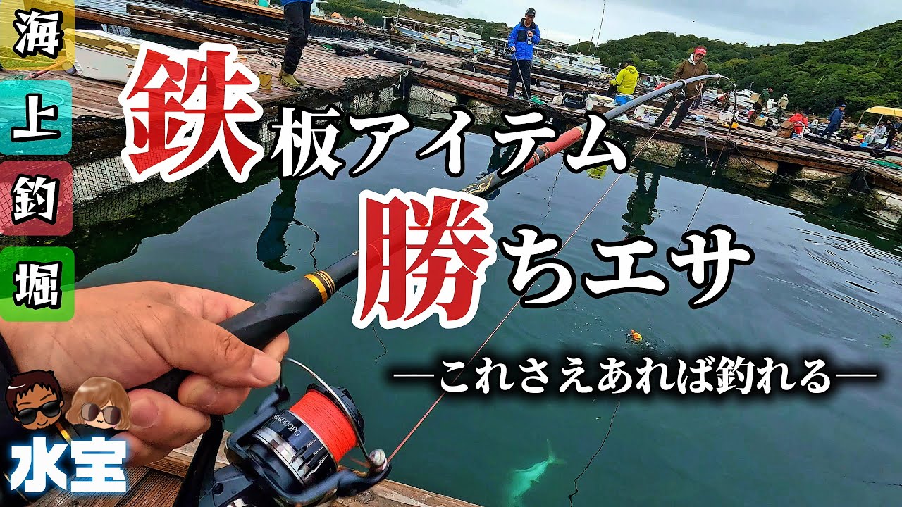 【海上釣堀×水宝】鉄板アイテムで勝ち確！これさえあれば釣れる　水宝モーニングはこれで決まり‼︎