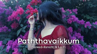 Paththavaikkum [Slowed+Reverb] | Lo-Fi | Deepthi Suresh | Surbox Hindi