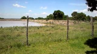 Dam at Kawai Primary School, Enkereri
