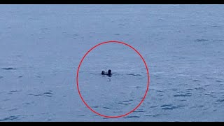 Gi̇resun Deni̇zde Can Pazari