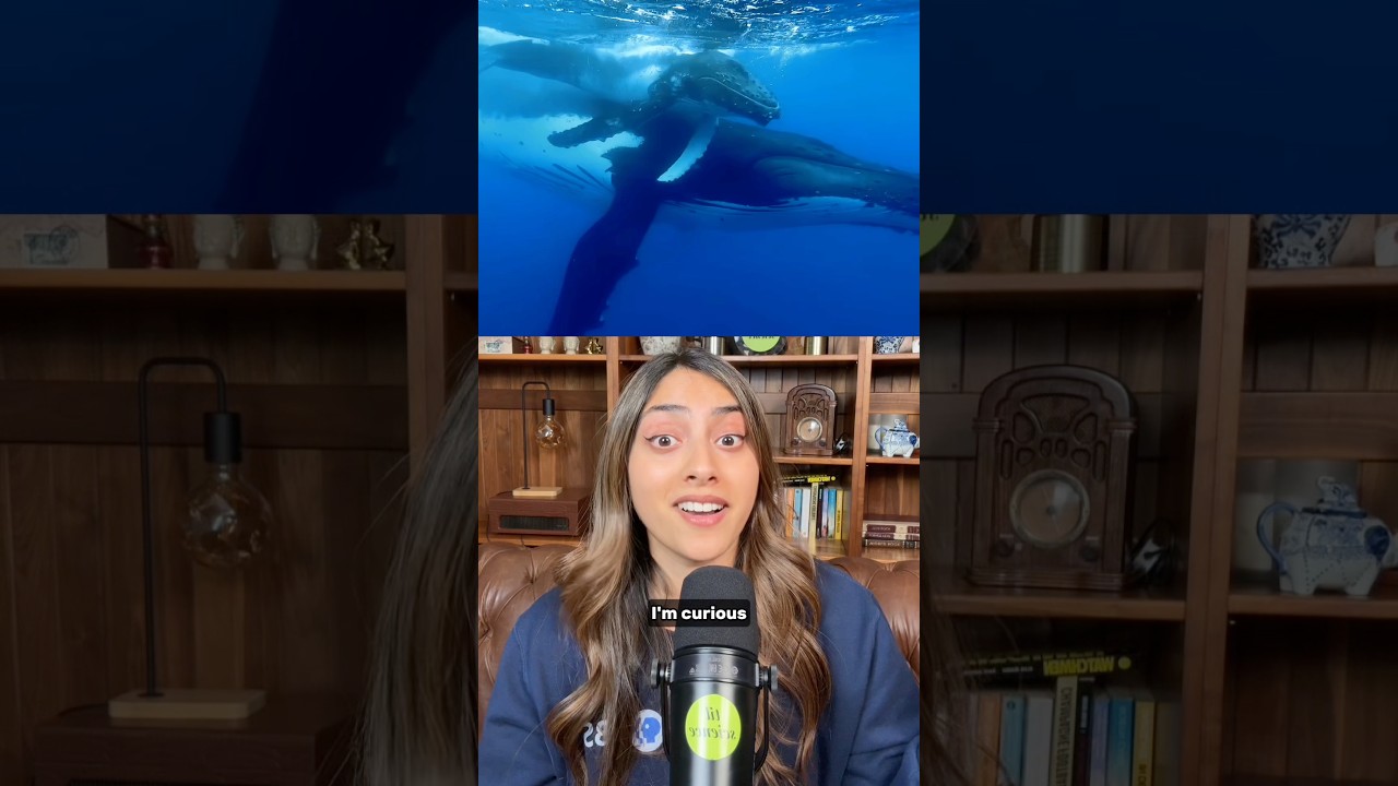 Scientists Are Making Antacids For…The Ocean. Here’s Why