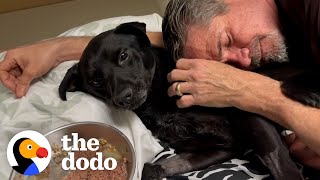 Guy Finds A Dog On The Side Of The Highway | The Dodo