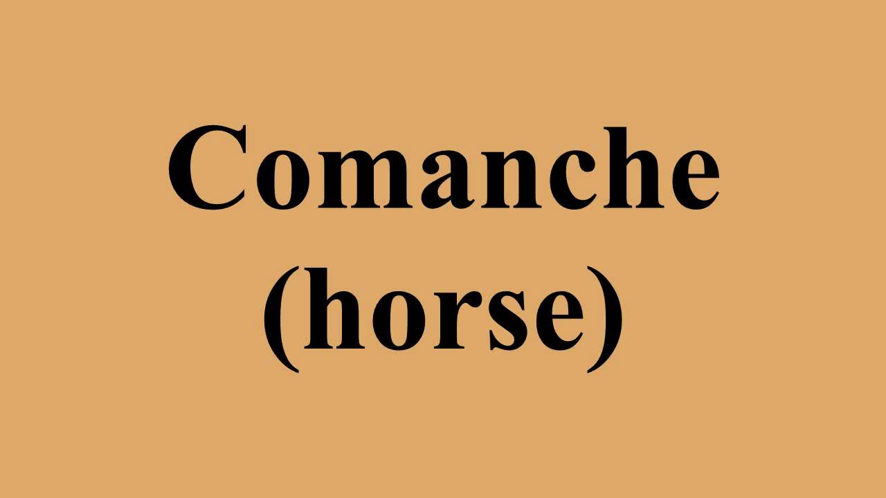 Comanche (horse)