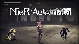 NieR:Automata DLC Arena - Very Hard (A2) 6:30.984