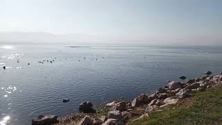 Metin Arolat Ayrılık Olmaz Nakarat