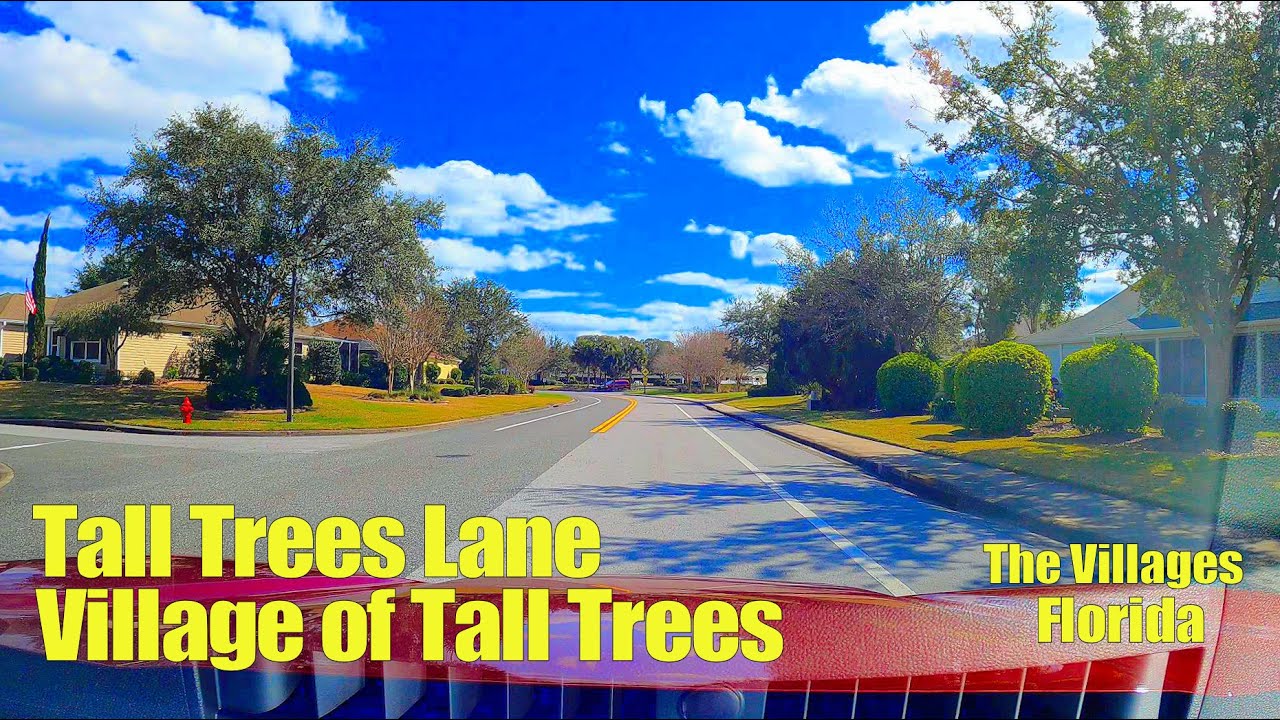 Tall Trees Lane in the Village of Tall Trees, The Villages【4K】 YouTube