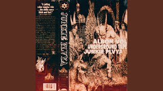 CREPT UP UNNOTICED - JUNKIE PLVYA