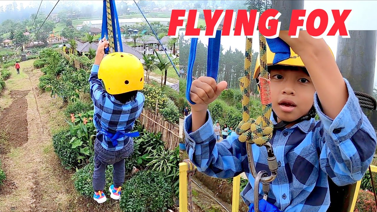 Rex Main Flying Fox di Kandang Dinosaurus Wisata D’LAS Serang Purbalingga