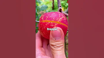 Ma Sœur Est Revenue D Une Expédition Spéléologique La Semaine Dernière Et Prétend Savoir Ce Qui Se 