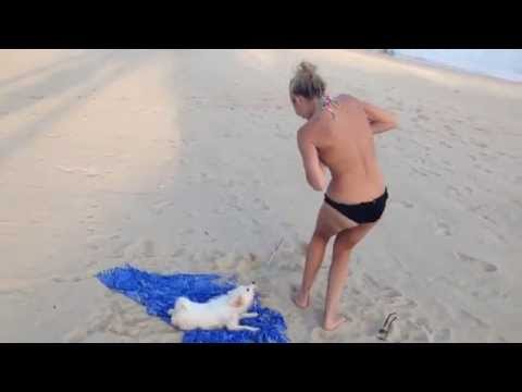 Vidéo: Vendredi étincelant!: Vysotskaya En Tunique Sur Un Bikini A Commencé à Danser En Vacances