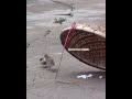 بر الوالدين واجب شاهد هذا الاب يعرض نفسه للخطر من اجل ابنه