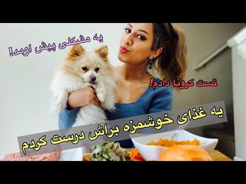 تصویری: چه گوشتی برای تغذیه یک سگ