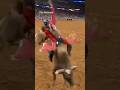 Canadian cowboy wins huge rodeo championship