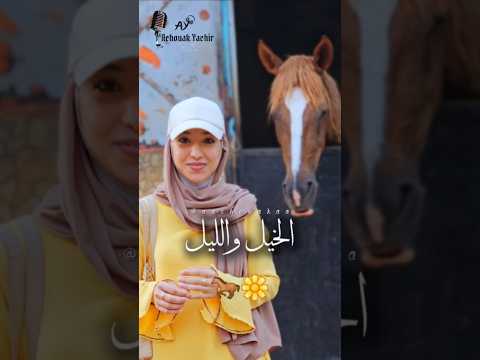 الخيل والليل والبيداء تعرفني بصوت يشير أشواق فلورآ يشيرأشواق قصيدة شعر شعروقصايد