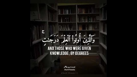 شريف مصطفي ارح سمعك.. تلاوة هادئة تريح القلب والعقل💙🎧 | مقاطع قصيرة حالات واتس أب دينية