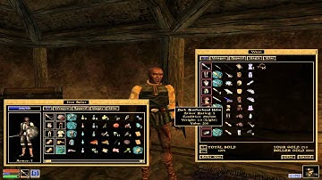 Morrowind - Shop keeper secret assassin?