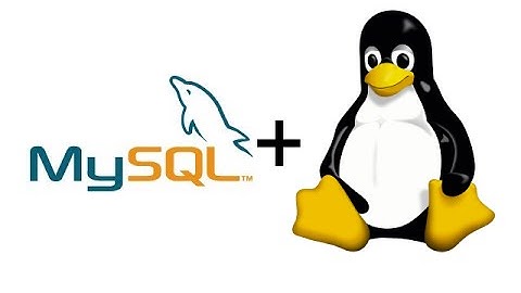 How to backup automatically your mysql databases using script shell.